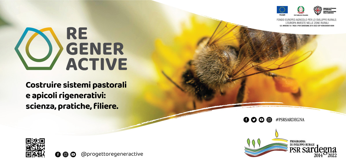 Regeneractive: a Oristano il Meeting sui sistemi pastorali e apicoli rigenerativi